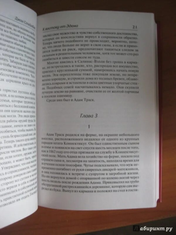 Ошибки в косвенной речи егэ примеры. К востоку от эдема книга. Сочинение по русскому языку егэ. Анализ связи между примерами. Как писать сочинение егэ.