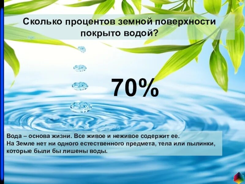 Сколько процентов покрыто водой. Вода основа жизни. Вода основа жизни на планете. Вода основа живого. Вода основа жизни на земле проект.