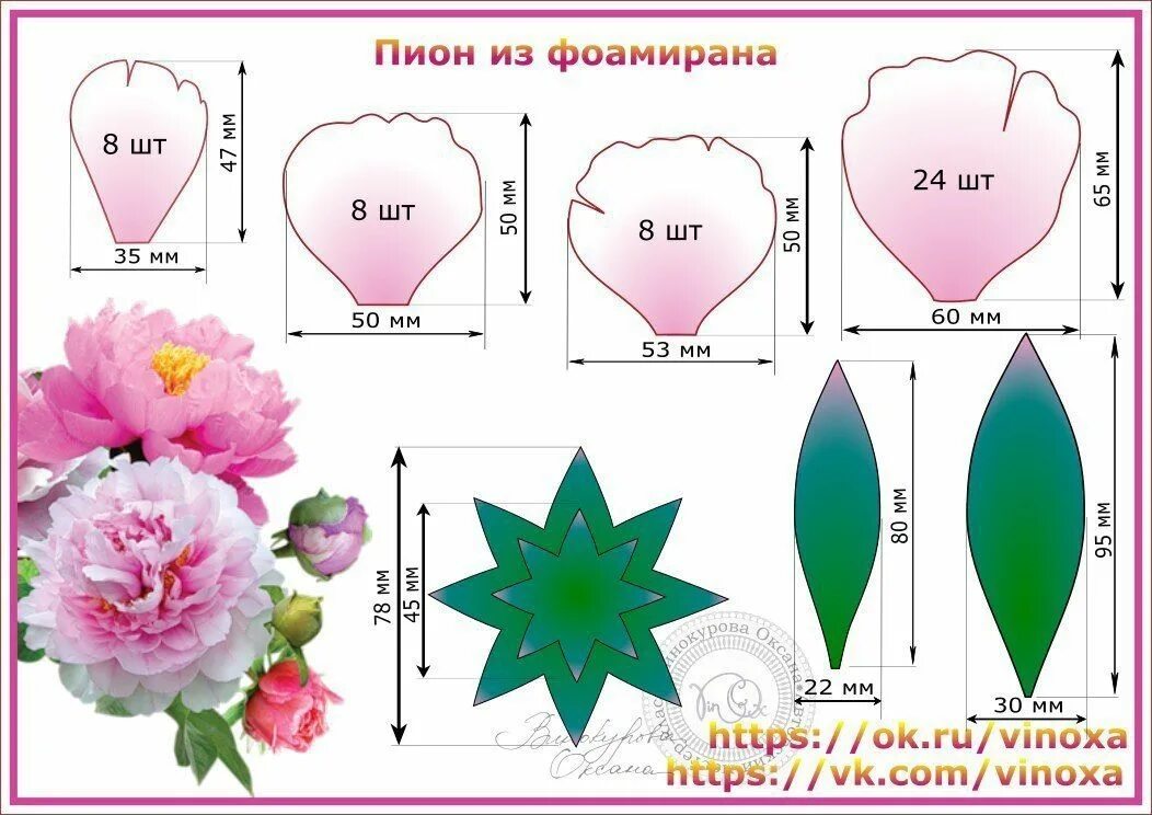Диаметр цветка