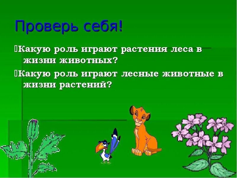 Как животные играют роль в человеке. Роль растений в жизни животных. Роль животных в лесу. Растения в жизни животных 1 класс. Роль леса в жизни животных.