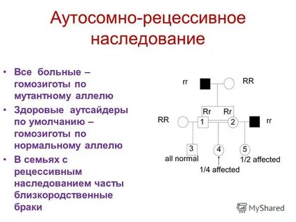Выберите гомозиготы