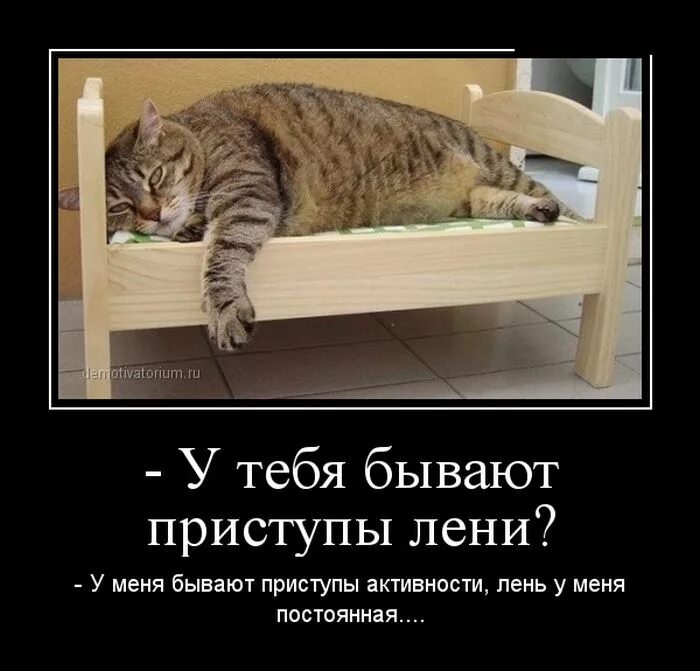 Я неправильно живу. Уволился с работы. Я неправильно живу я ничего не делаю и очень поздно ложусь спать. Для того чтобы ничего не делать. Когда ничего не хочешь.