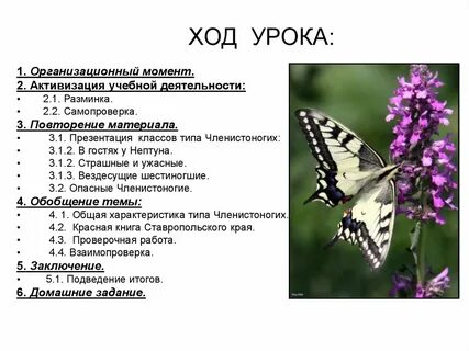 Тип членистоногие 7 класс биология контрольная работа