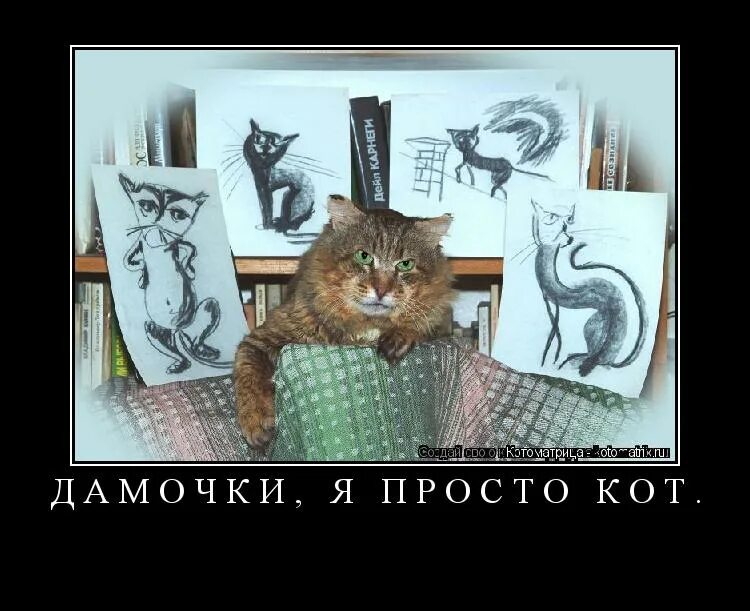 Кот демотиватор. Кот в чем смысл жизни. Кошак четко. Я просто кот. Кот просто кот.
