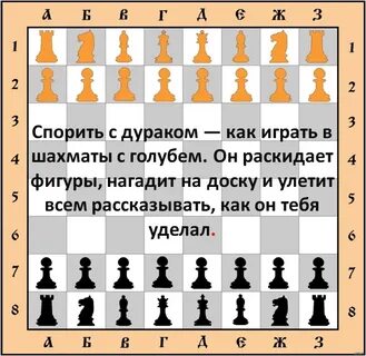 Спорить с дураком