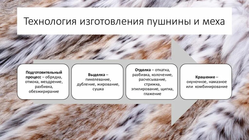 Мех работа это. Мех работа это
