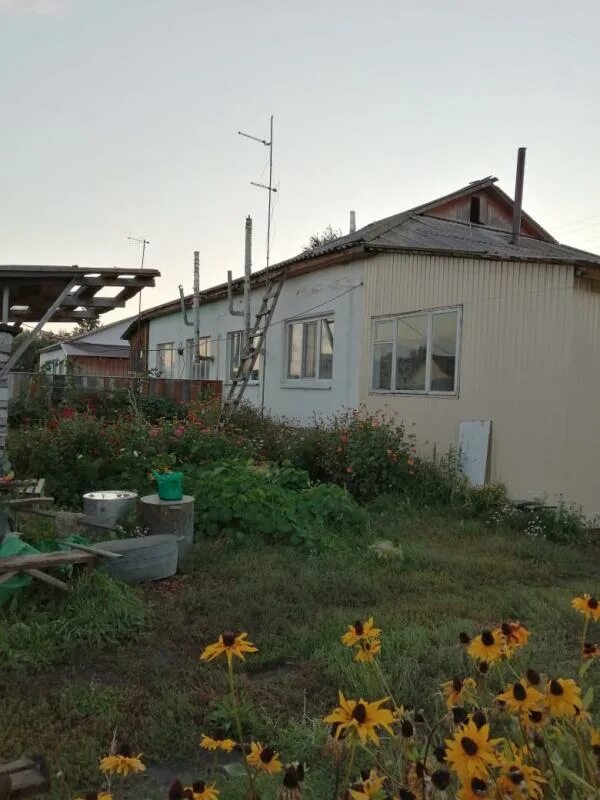 Новоархангеловка. Новоархангелка омская область любинский. Фото новоархангелки. Псыж аул в абазинском районе карачаево-черкесской республики. Новоархангелка омская область.