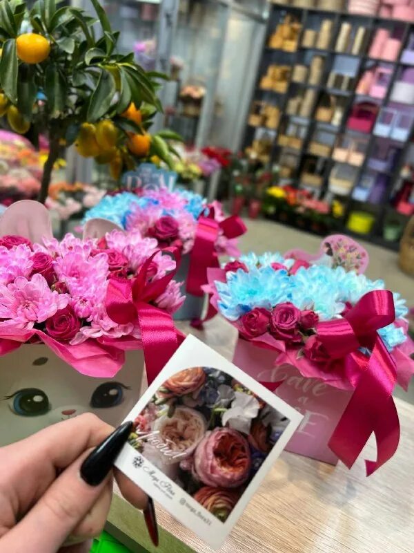 Мегафлора старый оскол. Тц надежда старый оскол. Тц оранж старый оскол флорист. Мегафлора старый оскол. Мегафлора старый оскол.