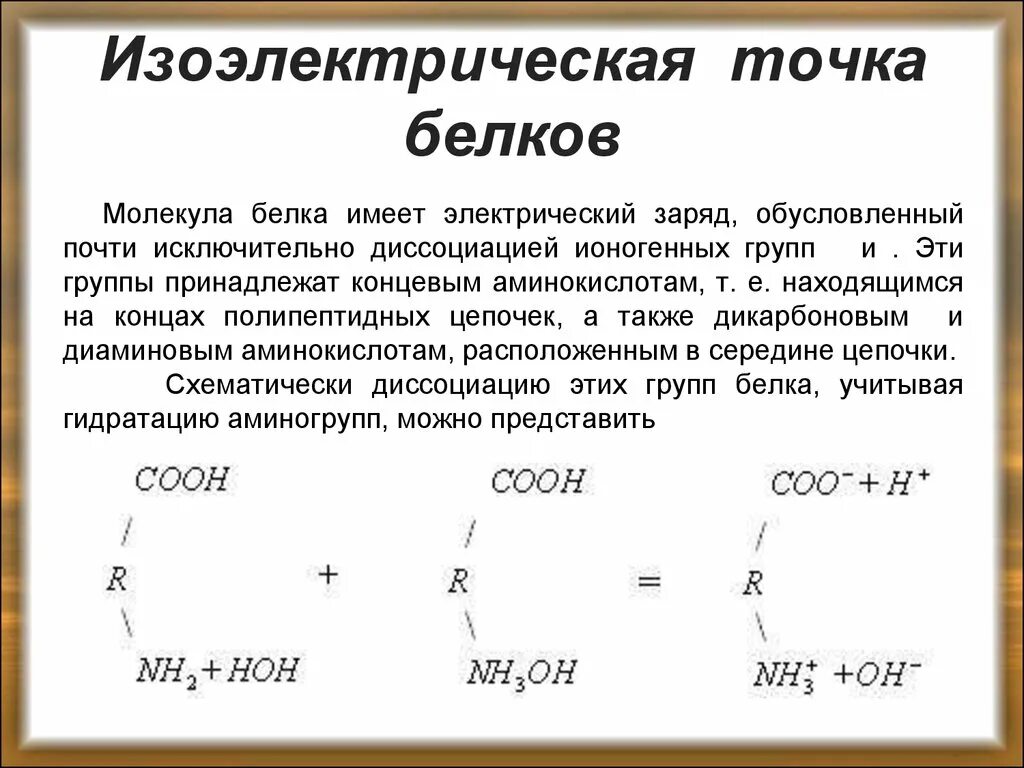 Белковая точка. Изоэлектрическая точка белка. Изоэлектрическая точка аминокислот. Понятие об изоэлектрической точки аминокислот. В изоэлектрической точке белки име.