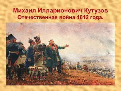 Северная кутузова