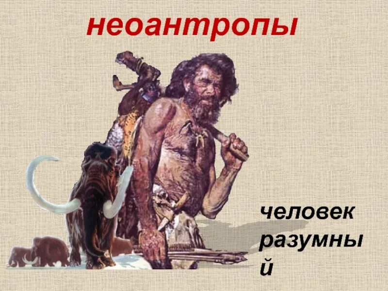 Почти разумный. Неоантропы кроманьонцы. кроманьонец человек разумный разумный. неоантропы современные люди кроманьонцы. неоантропы и человек разумный.