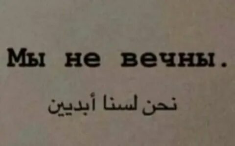 Ни вечная