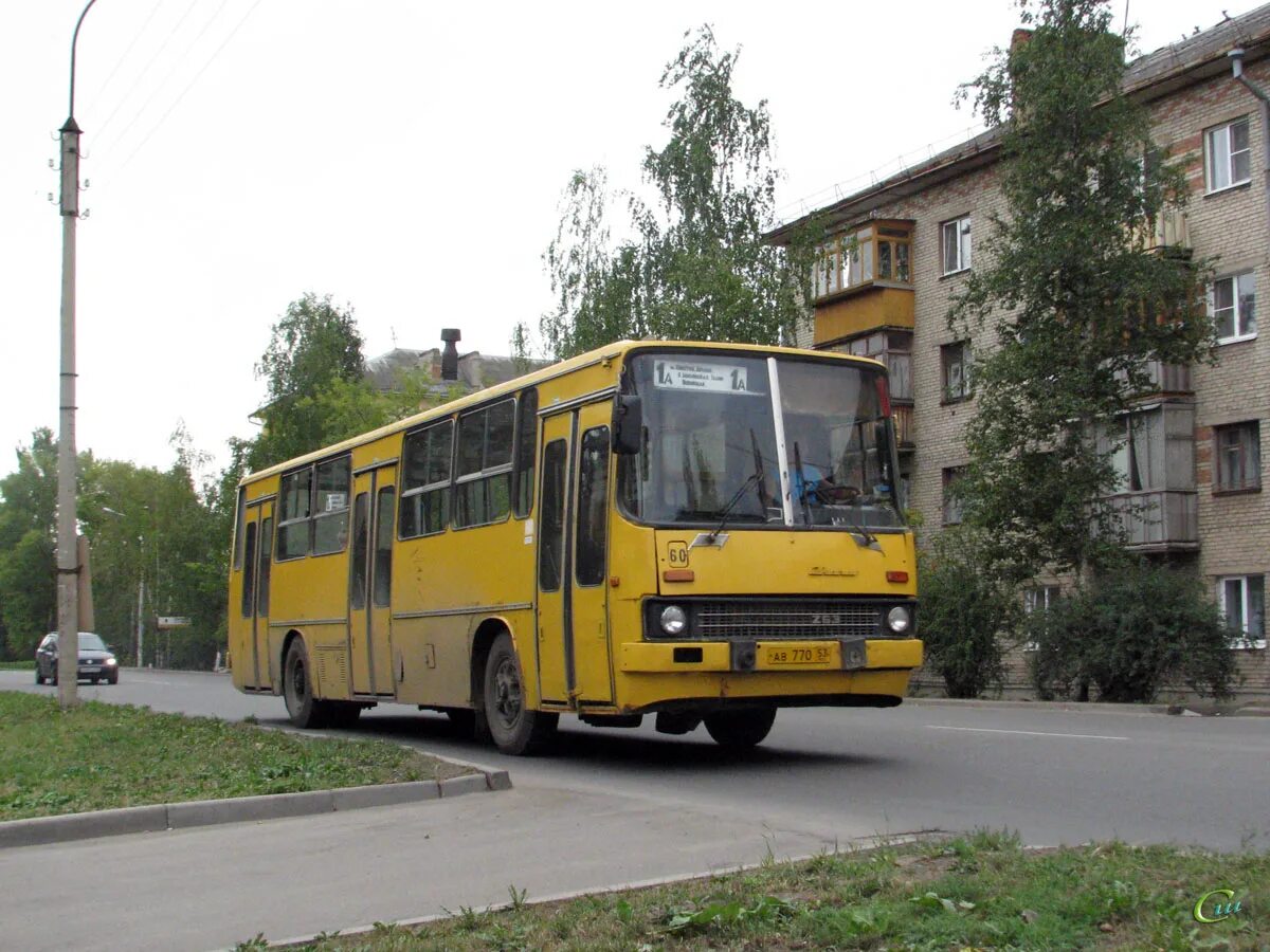 Автовокзал луга. Икарус 260. Икарус автобус. Автобусы Великий Новгород. Троллейбус Икарус.