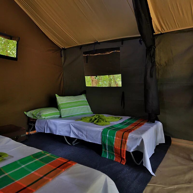Stay in a camp. Сафари кемпинг. Мегапалатка Safari Tent. Сафари тенты для кемпинга. Лагерь цивилизация палатки.
