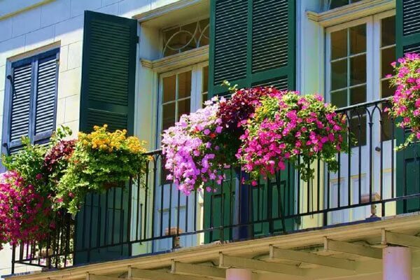 Балкон цветы фото и названия Florina city, Greece Balcony flower box, Window box flowers, Small balcony garde