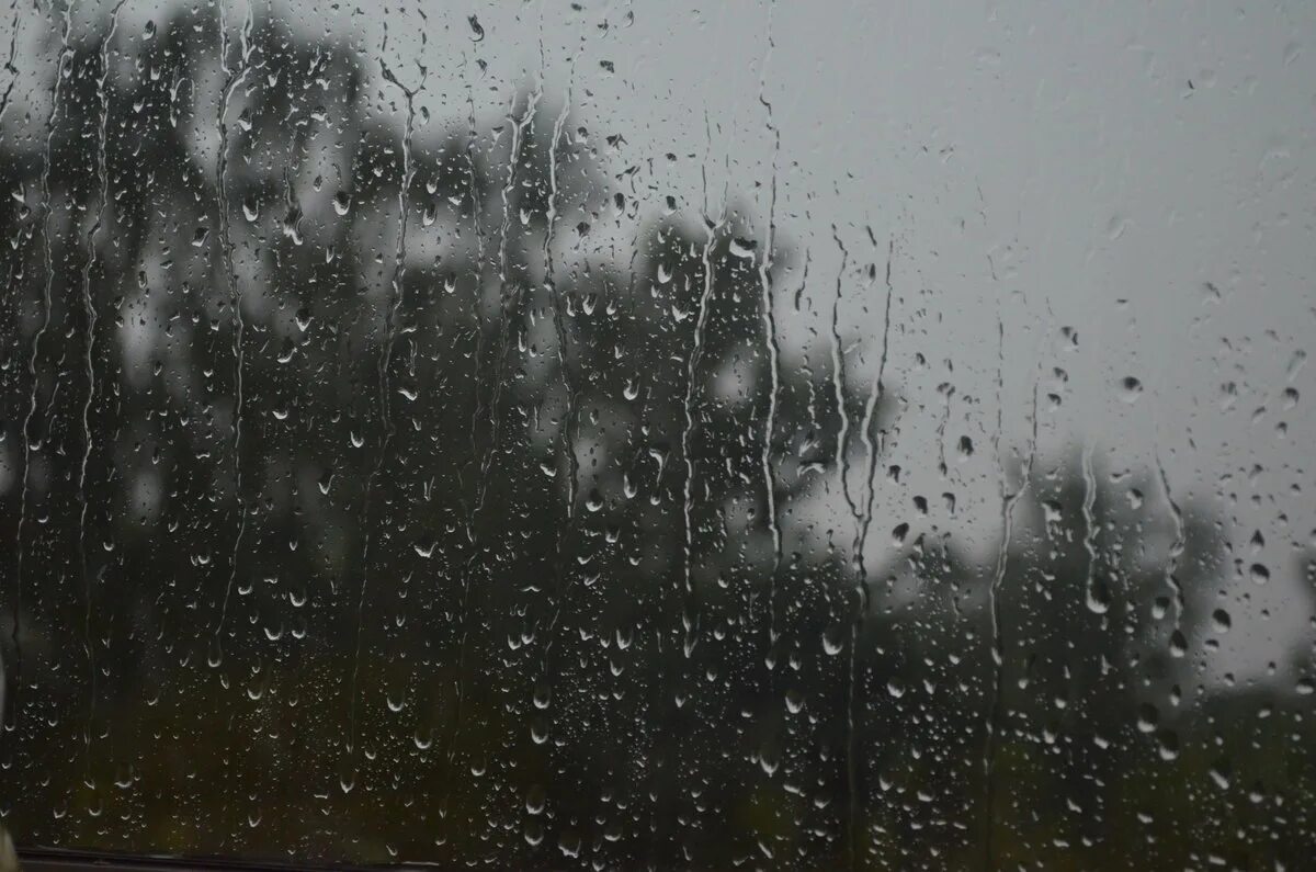 Дождь на окнах слова. Дождь за окном. Дождь в окне. Дождливое окно. Ливень за окном.