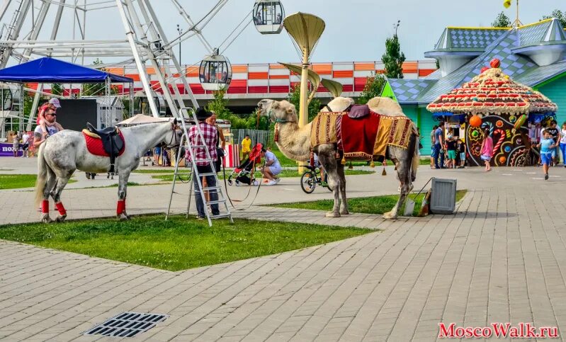 Парк семейного отдыха. Парк сказка. Лошади в парке Ленина. Парк с лошадьми в Москве. Парк сказка в москве сайт