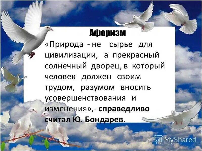 Природа цитаты