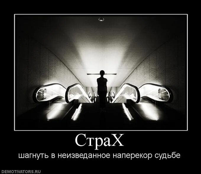 Шагнуть вправо. Страх неизвестности. Шутки про неизвестность. Страх шагнуть. Неизвестность прикол.