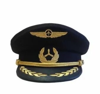 Пилот берет