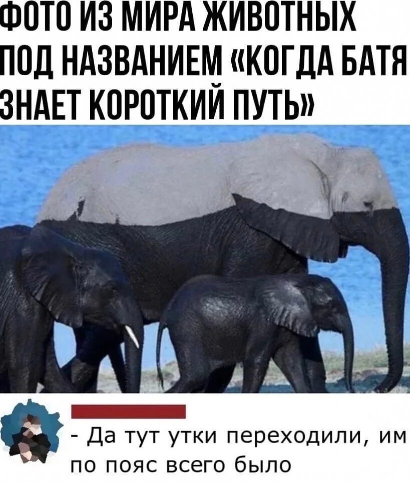 Че мем. Короче мемы. Дааа мем. Идеи для короче говоря. Короче знаете.