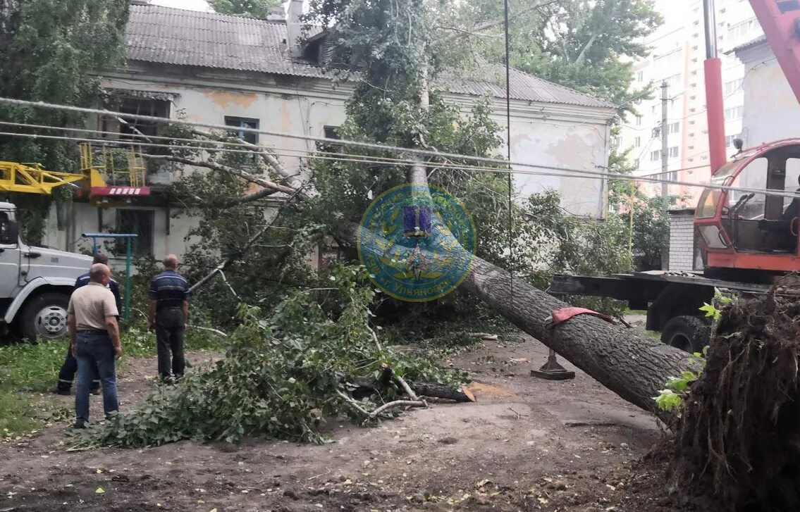 Дерево упало на дом. Дерево упало на частный дом. Упавшие деревья в городе. Ветер упало дерево