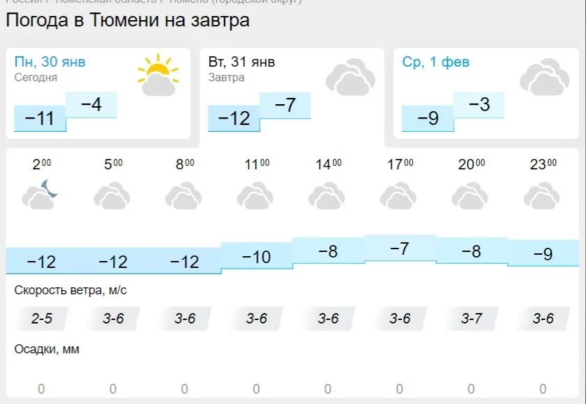 Прогноз погоды на февраль благовещенск. Погода на завтра. Погода в Тюмени на завтра. Градусы на завтра. Красноярск климат.