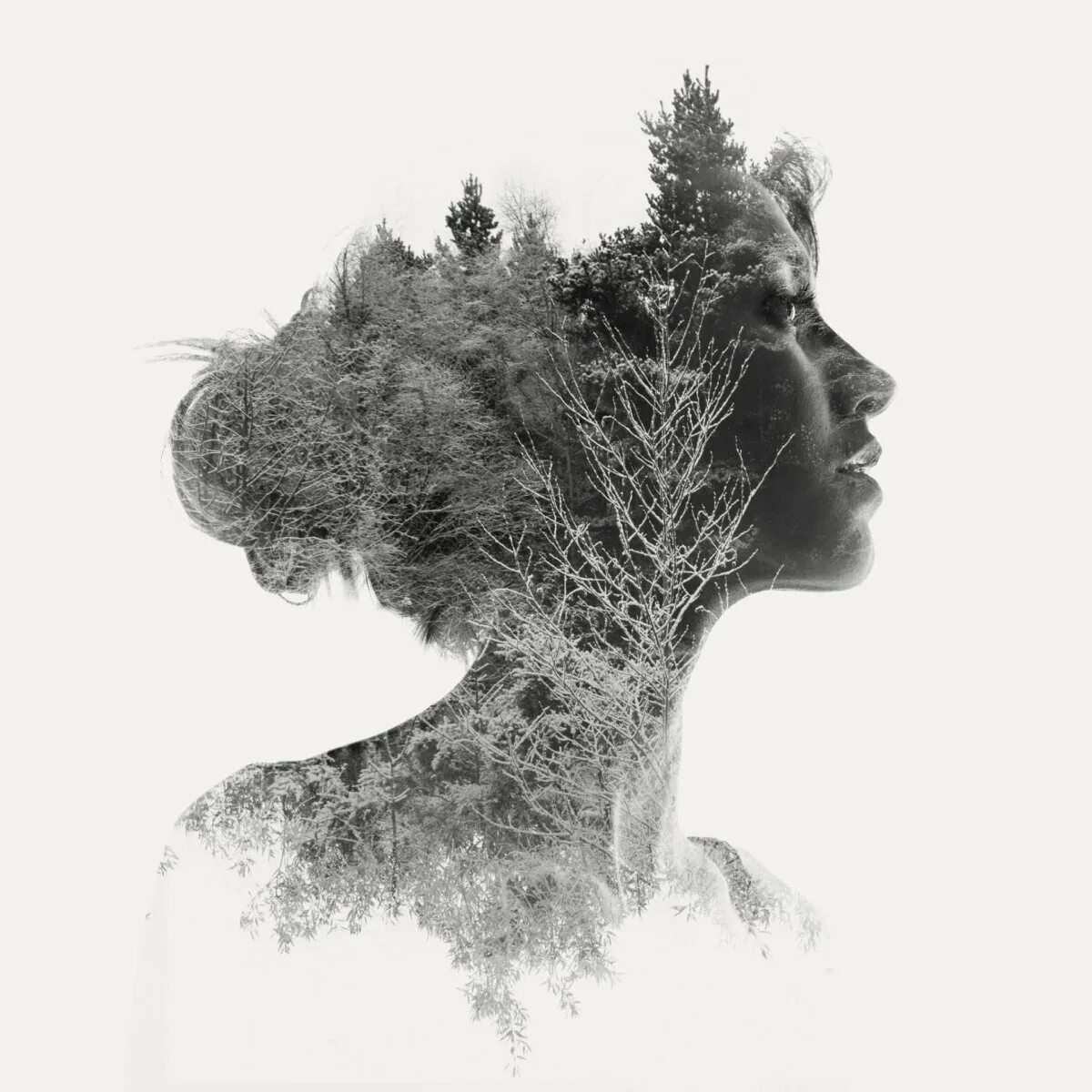 Природа голова. Двойная экспозиция портрет. двойная экспозиция природа. портреты с мультиэкспозицией. двойная экспозиция женщина.