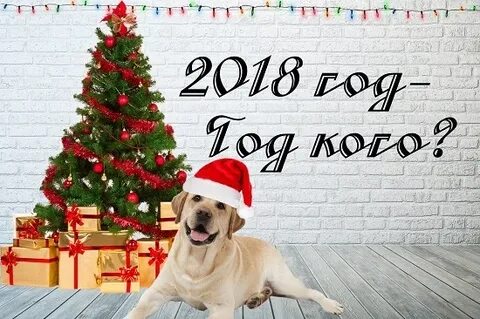 2018 год назван