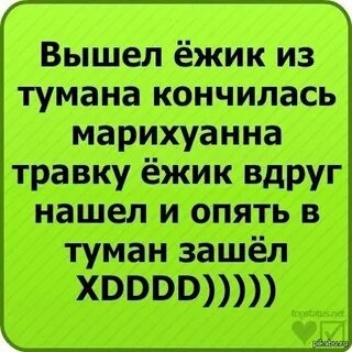 Ежик по травке бежит и хохочет