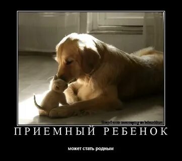 Я не люблю чужого ребенка