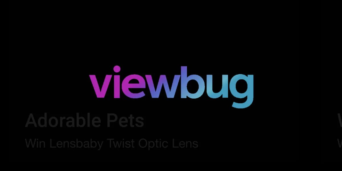 View bug. View bug