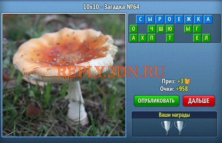 Не настоящий но похожий 8 букв. Гриб 8 букв. Гриб из 8 букв. Гриб из 8 букв и 4 буква п. Наука о грибах восемь букв.