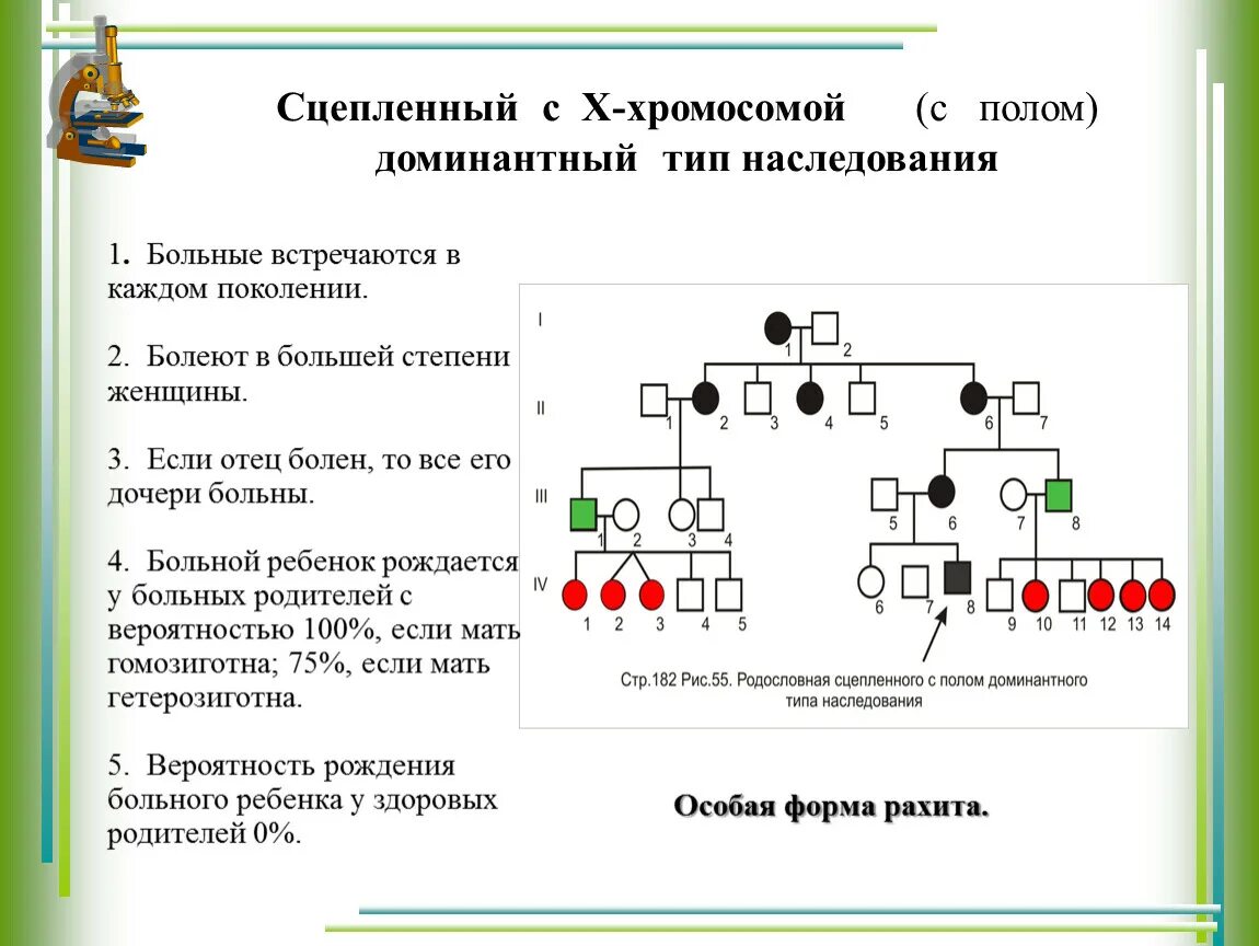 Доминантный сцепленный с х хромосомой заболевания. Задачи по генетике на сцепленное с полом наследование с решением. Решение генетических задач по биологии на сцепленное наследование. Х сцепленный доминантный Тип наследования схема. Тип наследования генетика задачи.