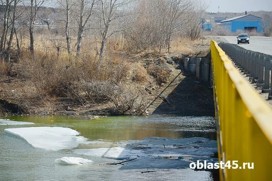 На сколько поднялся уровень в реке тобол. Река тобол курган. звериноголовское тобол.