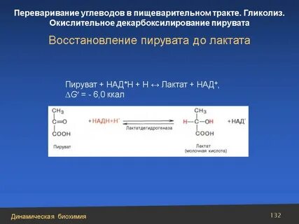 Молочную кислоту получают путем