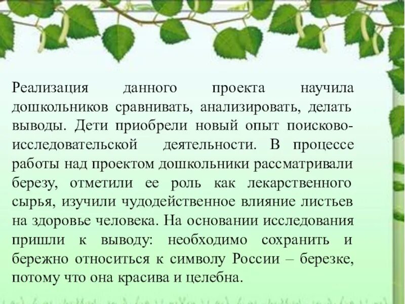 Тема мое любимое дерево. Проект Березка старшая группа. Береза для детей дошкольного возраста. Проект о Березе для дошкольников. Проект про березу.