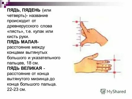 Не отдать ни пяди земли значение