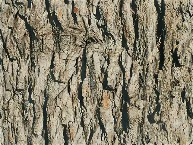 Time textures. Time textures