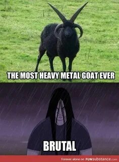 Much more heavier
