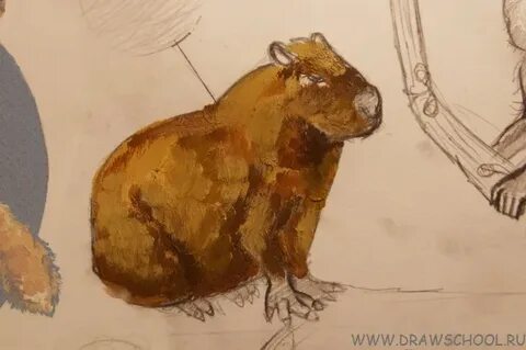 Как можно нарисовать капибару