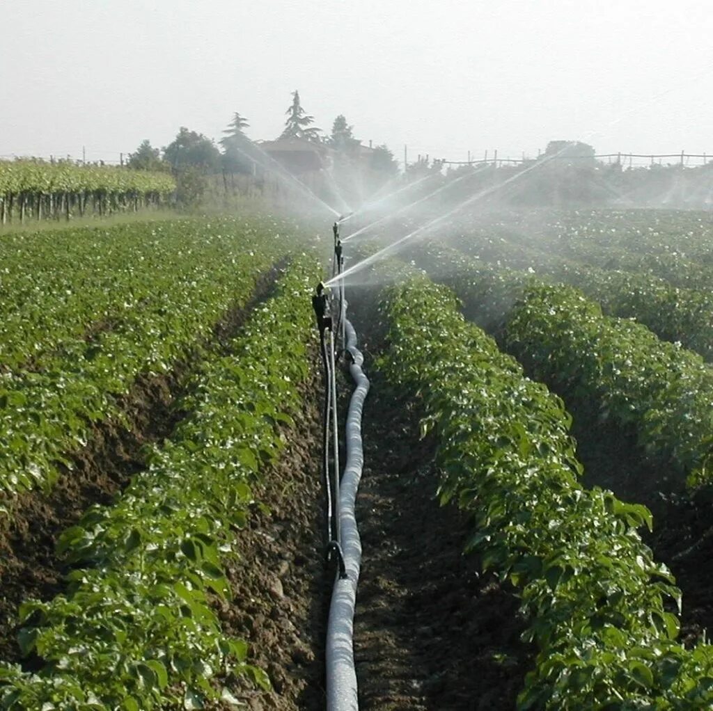 Тамшылап суару кезінде үнемделетін су көлемі. Netafim поливная система на 4га. Увлажнительная мелиорация. Сельское хозяйство полив. Поливной комплекс кубань.
