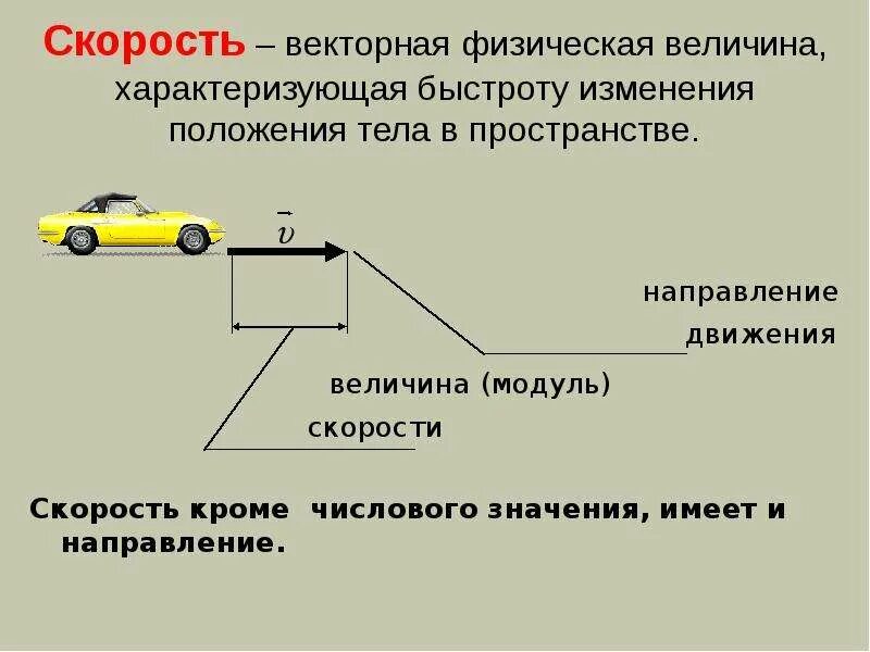 Физическая величина характеризующаяся направлением в пространстве. Векторные физические величины. Физика векторные и Скалярные величины. Скорость физическая величина. Векторные величины в физике.