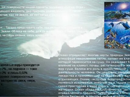 Мировой океан занимает 3 4