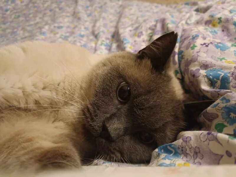 холодно опять солли