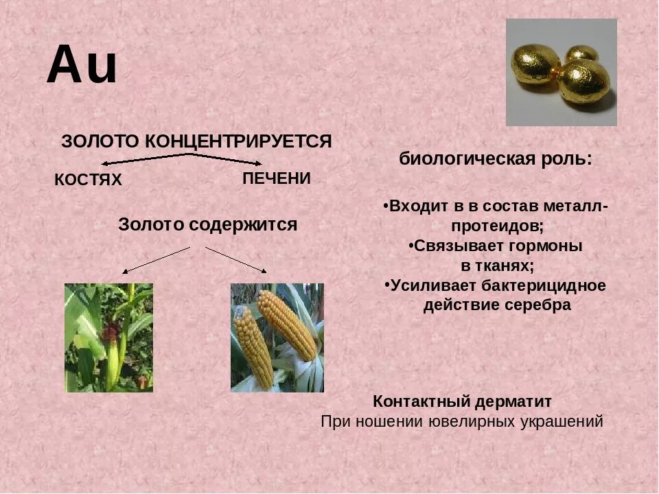 Сколько золота содержится в. Золото в организме человека. золото в организме человека его роль. биологическая роль золота. значимость золота.