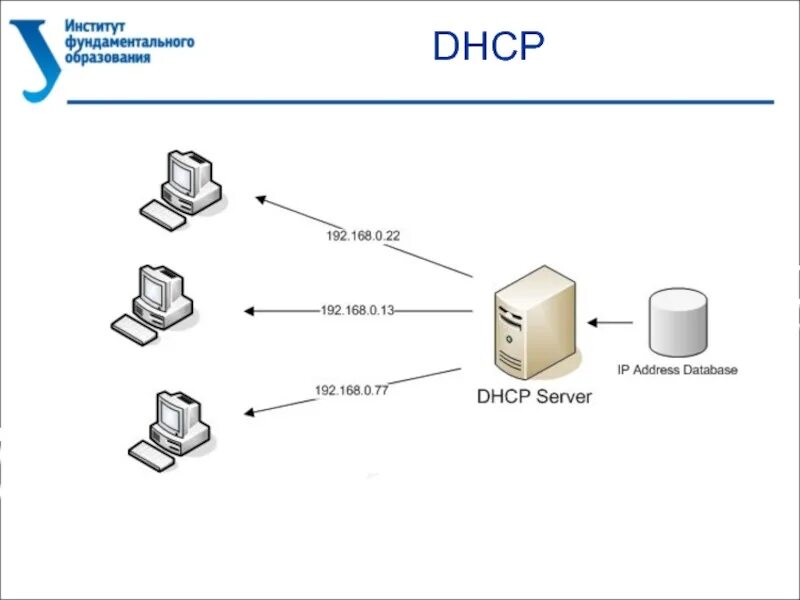 Схема Nat DHCP сервер. DHCP-спуфинг схема. Что такое DHCP сервер простыми словами. DHCP Spoofing атака. Домен dhcp