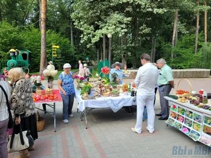 Соцзащита обнинск