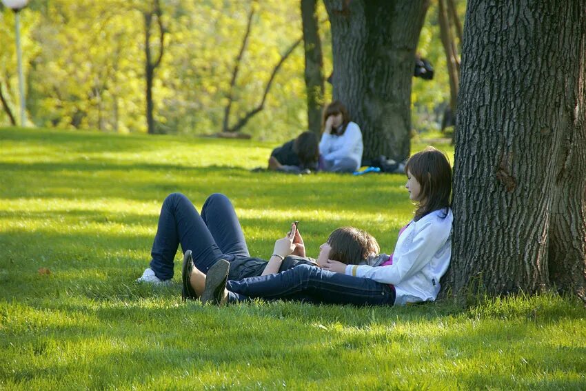 В парках много людей. Люди в парке. Люди на лужайке в парке. Люди на газоне в парке. Люди отдыхают в парке.