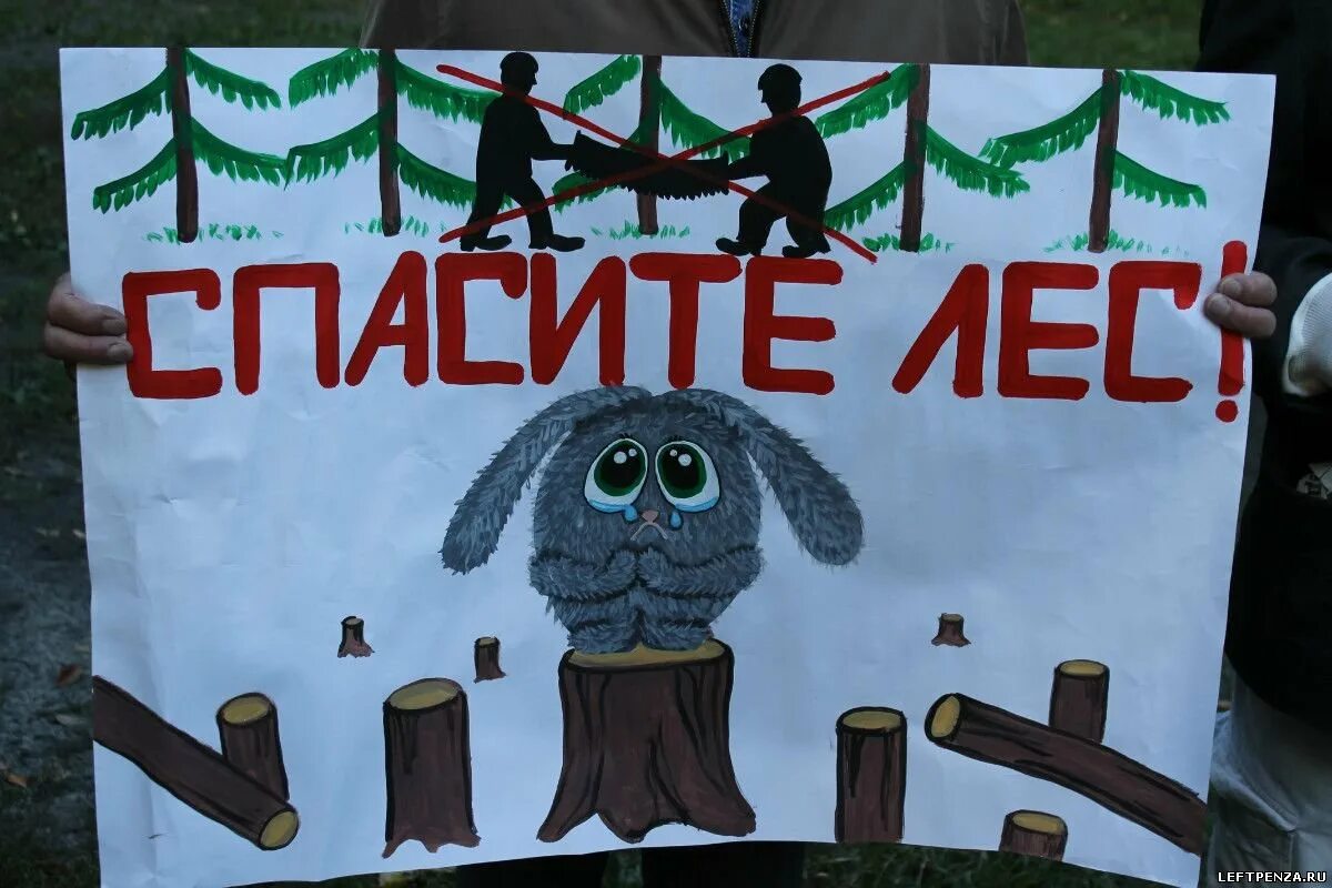 Плакат против вырубки лесов. Протест против вырубки лесов. Плакаты против вырубки леса. Я против вырубки леса. Экологический митинг.